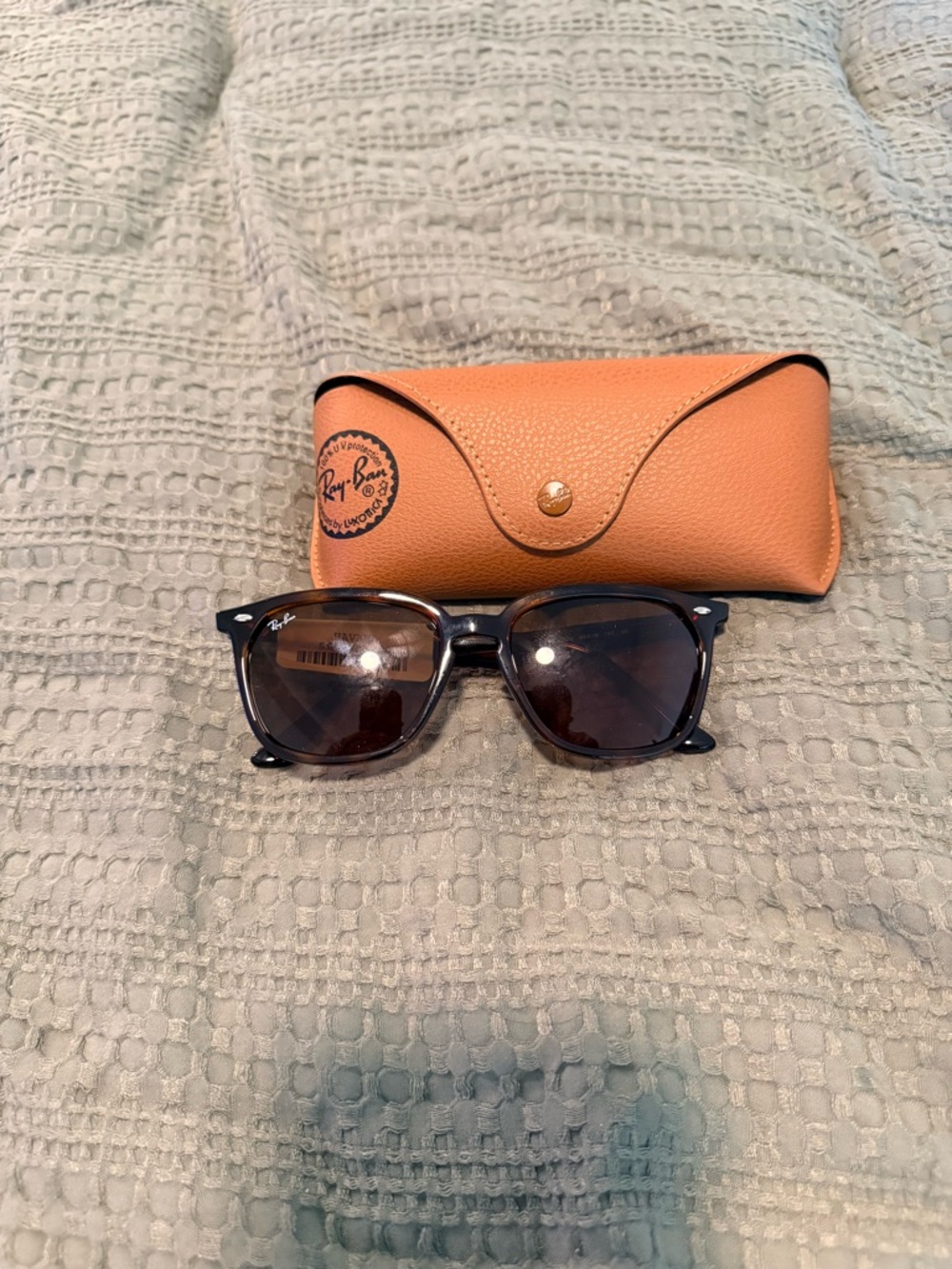Ray-Ban Men's Black Sunglasses with Tan Case